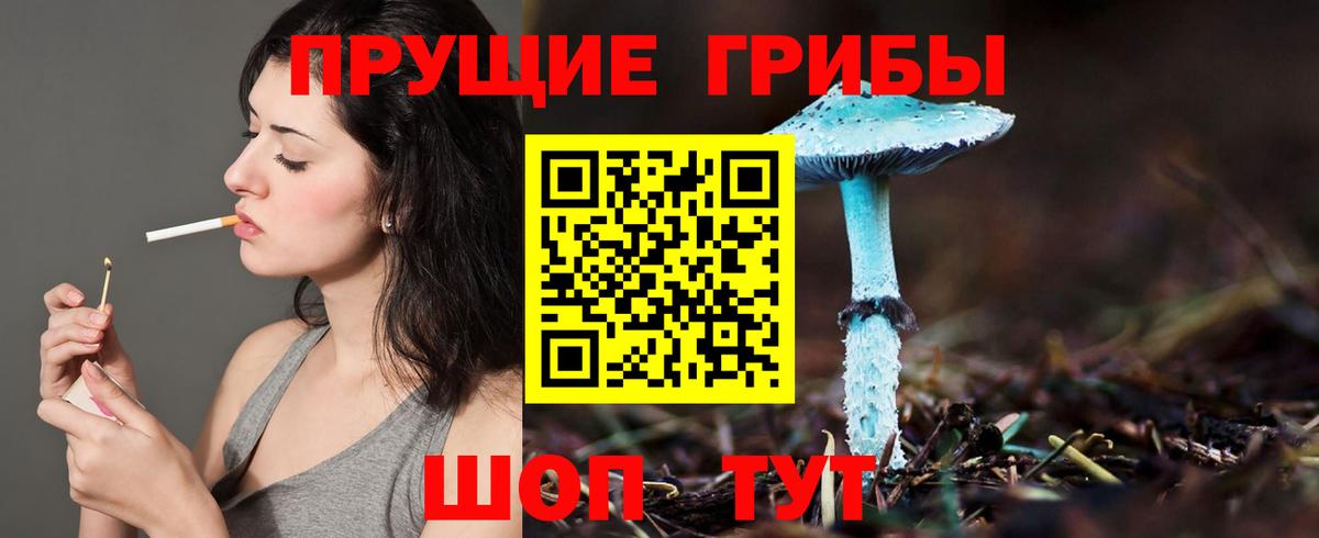Галлюциногенные грибы Cubensis  Вход с VPN  Бийск 